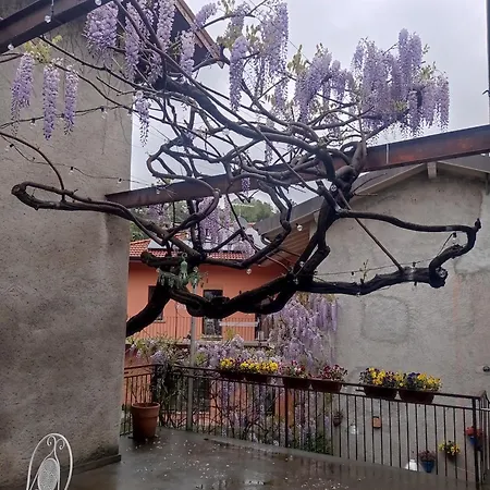 Antico Glicine Lejlighed *